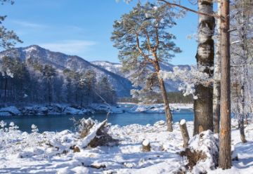 Алтайский край, Республика Алтай